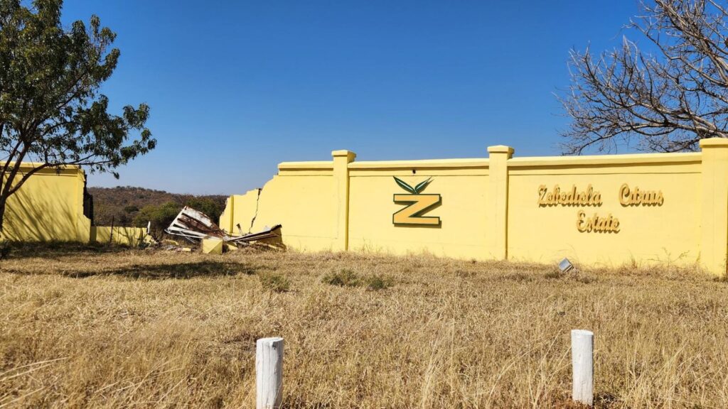 When the Sweet Oranges Turned Bitter: The Heartbreak and Ruin of Zebediela When the Sweet Oranges Turned Bitter: The Heartbreak and Ruin of Zebediela
